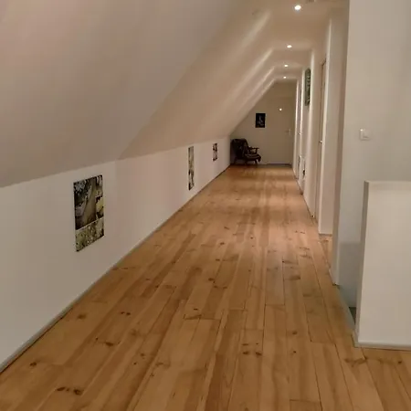 La Flandre Entre Plaine, Et Marais